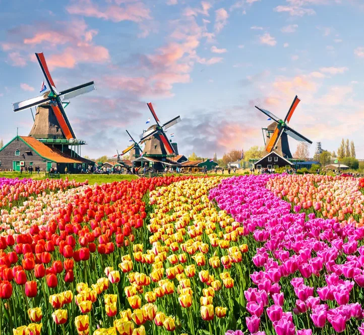 Interns enjoying a day trip to Zaanse Schans