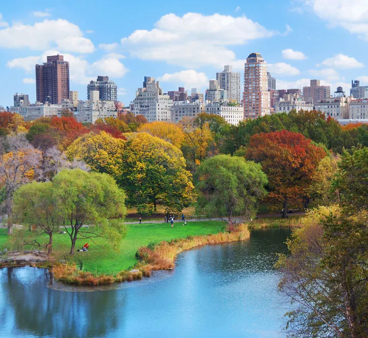 Interns in New York enjoy a picnic in central part during week 5 of their program