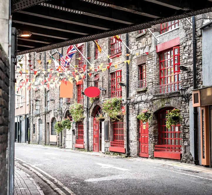 Interns enjoy a Hidden Secrets of Dublin Tour