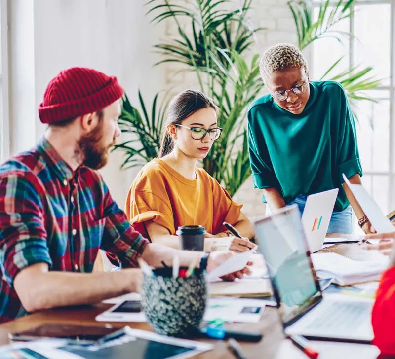 Internships in startups