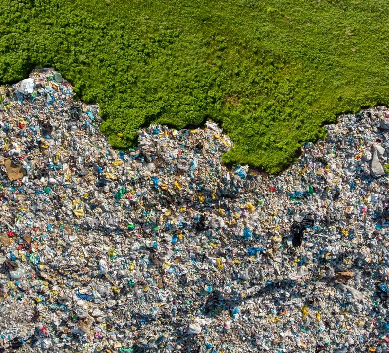 Internships in Environmental and Sustainability