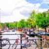 Business Internships in Amsterdam