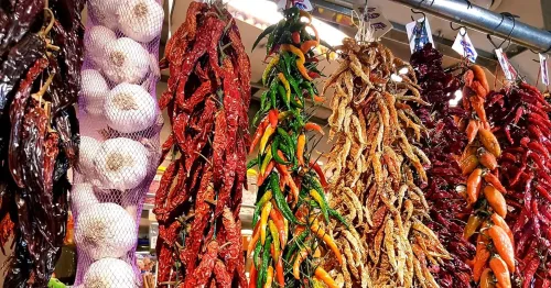 Interns in barcelona exploring Mercat de Sant Caterina