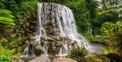 Dublin Internships, take a walk in Iveagh Gardens