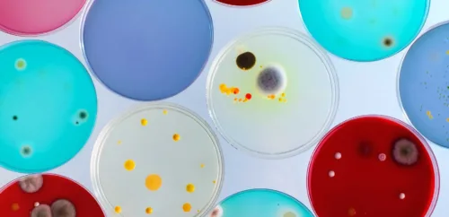 internships in Amsterdam, explore Mediamatic