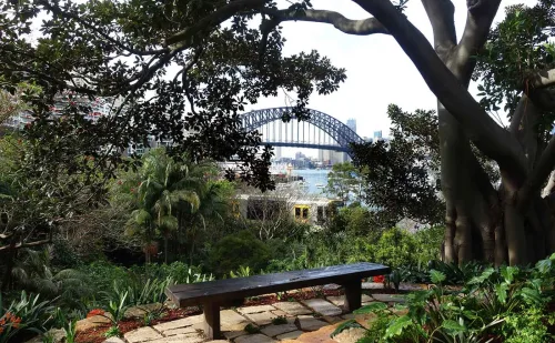 Sydney Internships, take a stroll around Wendy’s Secret Garden