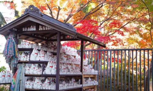 Tokyo Internships, visit Gotokuji